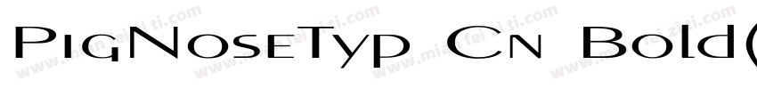 PigNoseTyp Cn Bold(1)字体转换